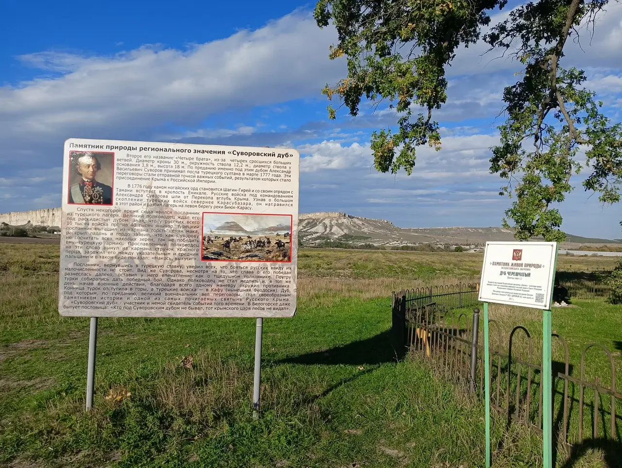 Дуб Суворова — необычное место силы в Крыму