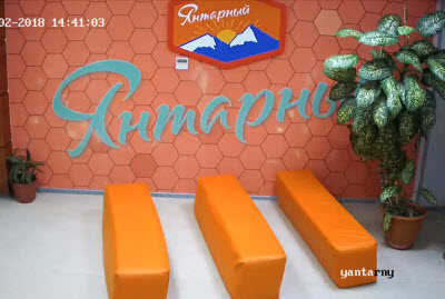 фото с камеры лагеря Янтарный