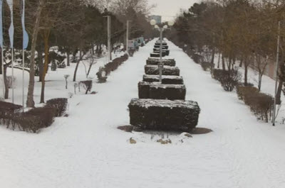 фото с камеры в Евпаторийском дельфинарии