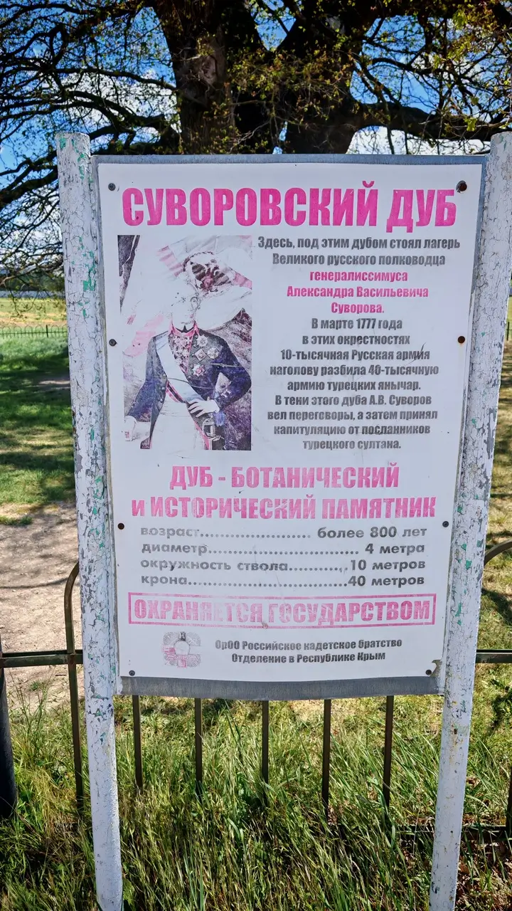 Дуб Суворова — необычное место силы в Крыму