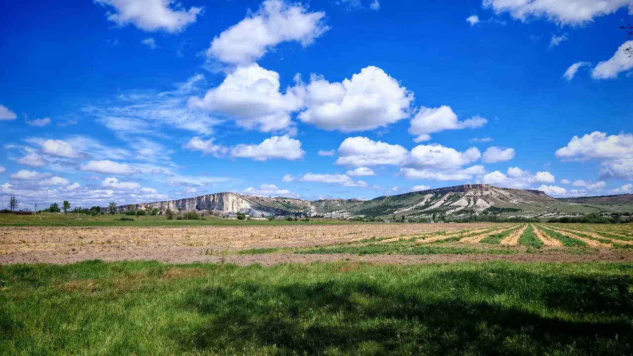 Дуб Суворова — необычное место силы в Крыму