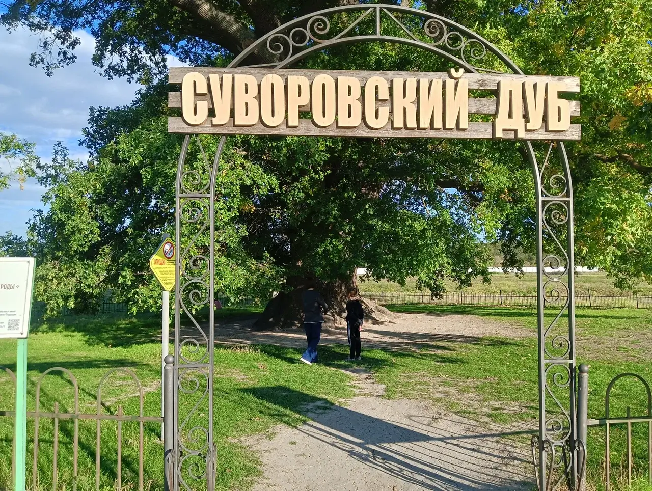 Дуб Суворова — необычное место силы в Крыму