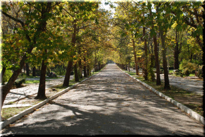 Сакский курортный парк