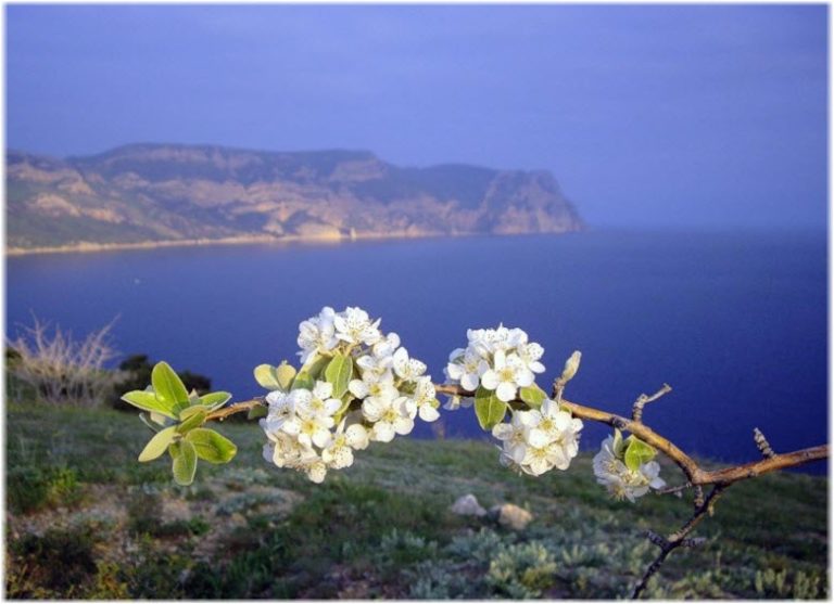 весна в Крыму